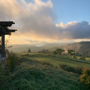 Meet your Posher, Anamias